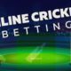 How to choose the best possible type of website associated with cricket betting