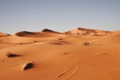 Photo Desert landscape