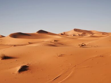 Photo Desert landscape