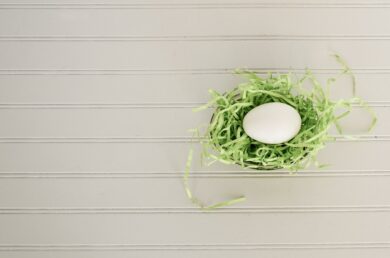 Photo Dragon egg
