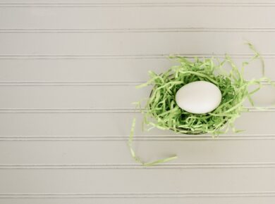 Photo Dragon egg