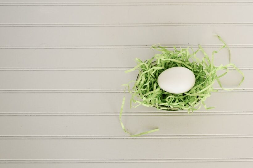 Photo Dragon egg